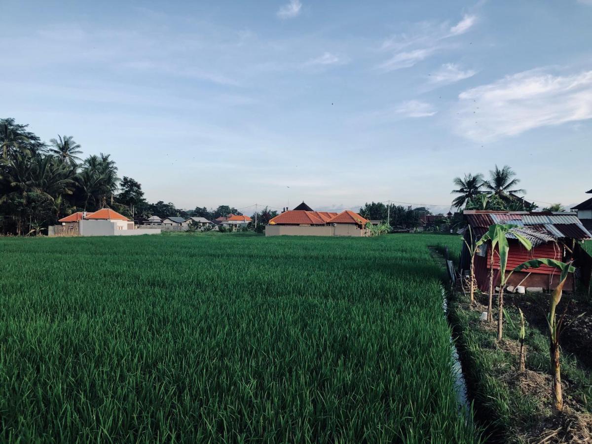 Umagama Villas อูบุด ภายนอก รูปภาพ
